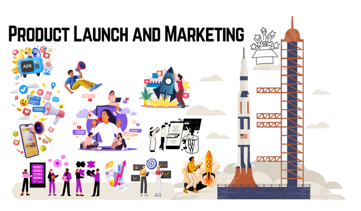 Marketing & Launch